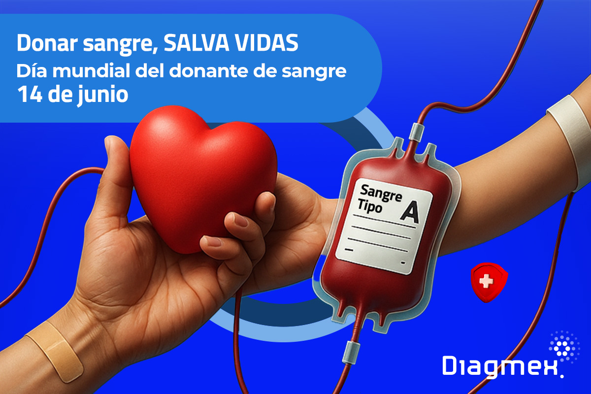 Donar sangre salva vidas: beneficios reales y requisitos importantes que debes conocer